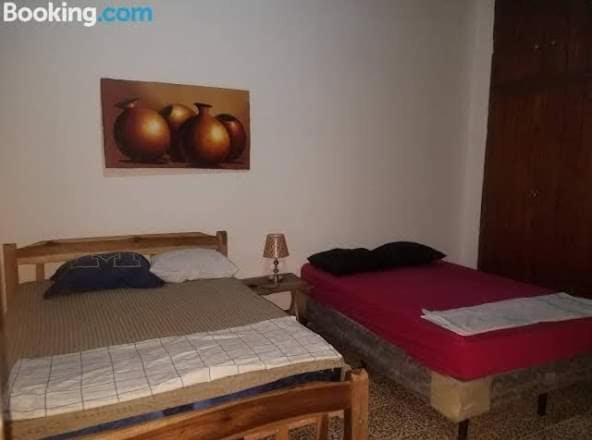 גרנאדה Casa Lucys Hostal מראה חיצוני תמונה